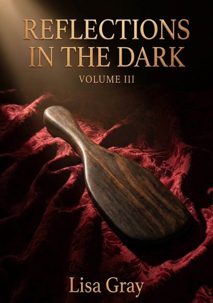 Book cover with shadows and light highlighting a paddle with the book title: Reflections in the Dark Volume III by Lisa Gray